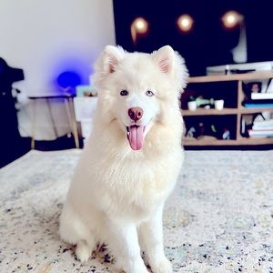 Meet your Posher, Hannah